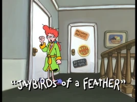 Jaybirds of a Feather