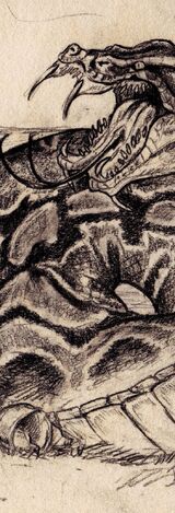 Carthaginian serpent by Rachel.jpeg