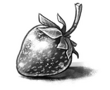 Image 5-0.png