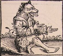 Cynocephali.jpg