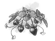 Image 4-0.png