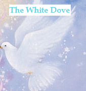 Dove
