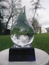 Trophy4
