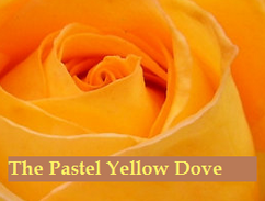 Yellowdovetrillogo