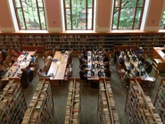 La biblioteca por dentro.