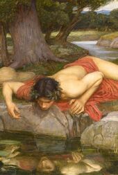 Narciso