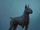 Perros del Infierno