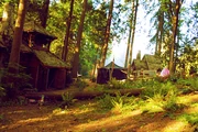 Campamento Mestizo.png (435 kB) Campamento en Percy Jackson:The Sea of Monsters