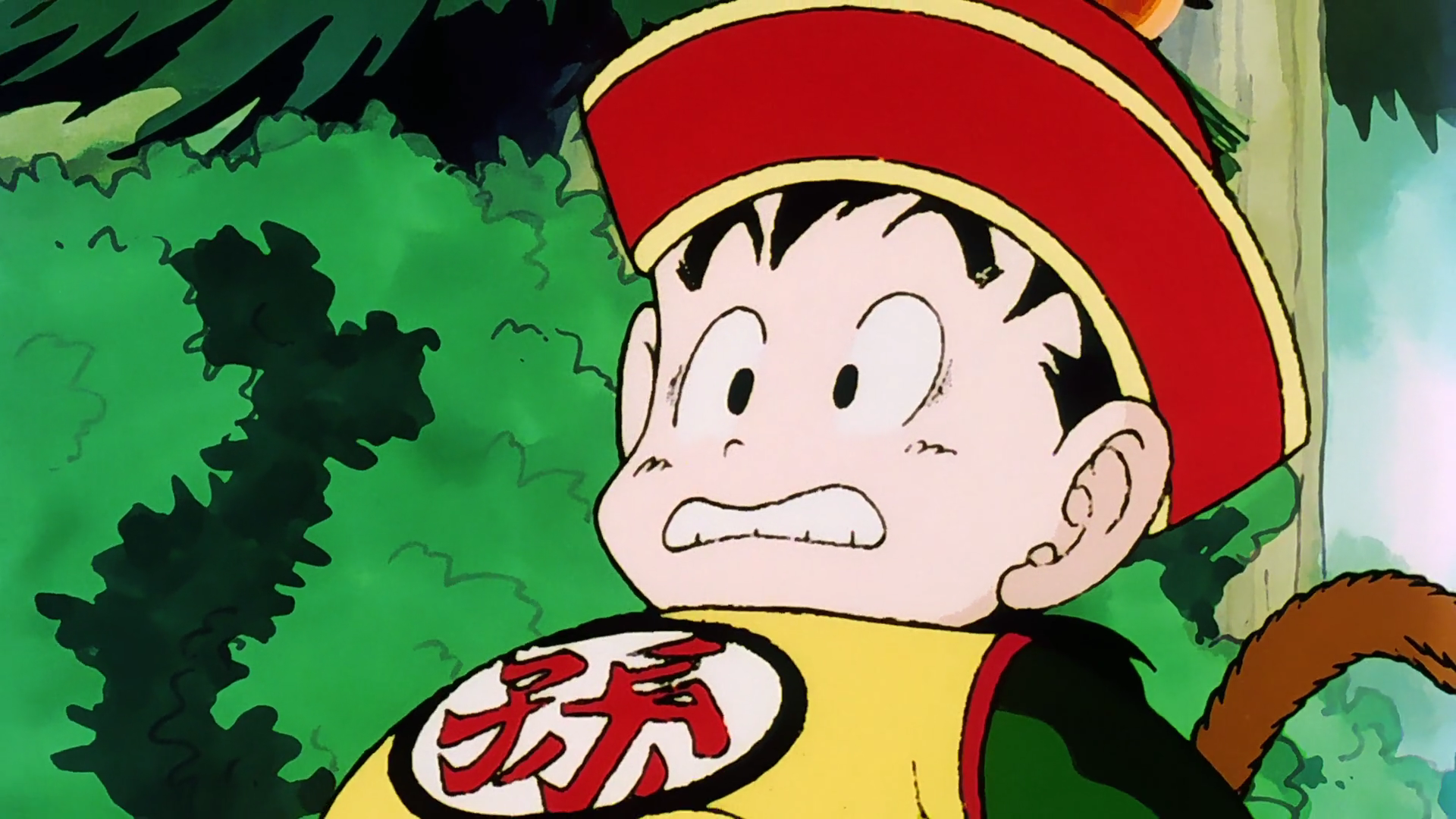 Gohan, PERFECT POWER LEVEL LIST Wiki, Fandom