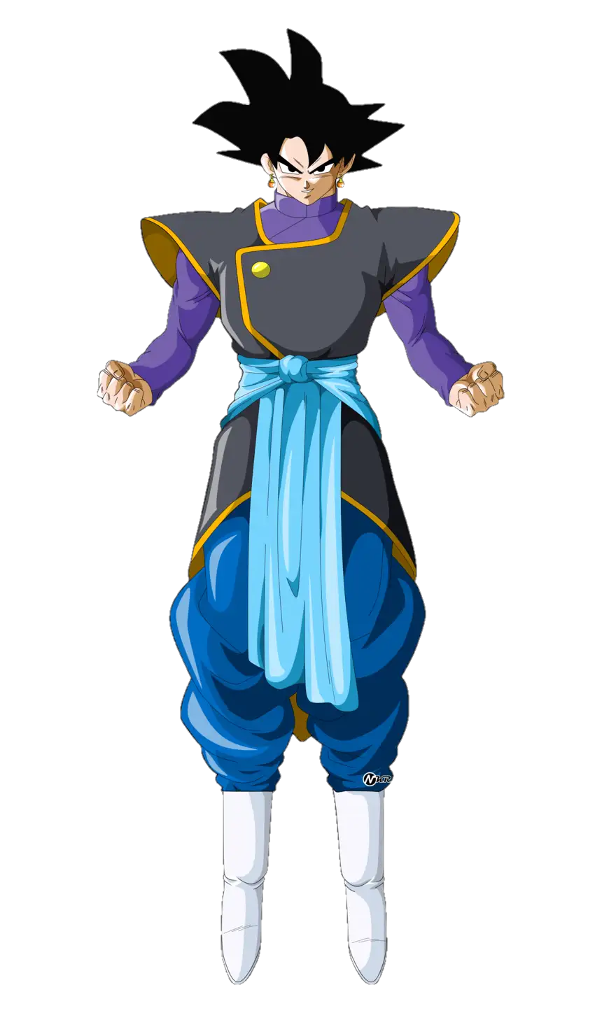 Costume Dragon Ball Black Goku