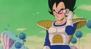 Namek Vegeta 