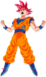 Goku (Super Saiyan God)
