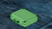 Unclaimed briefcase