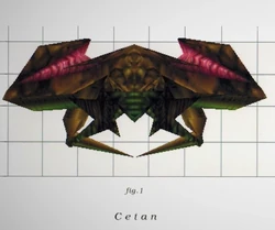 A Cetan, according to "Rare Revealed: The Making of Perfect Dark".