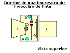 24.png