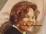 Robin Wood