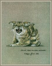 Feline