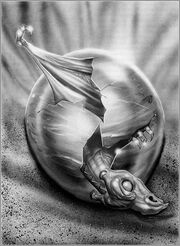 Hatching dragon