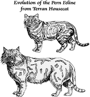 Feline