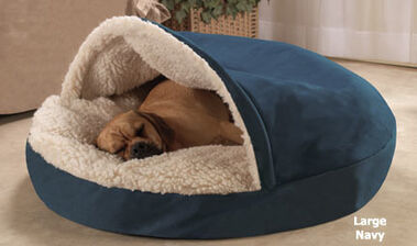 Correctamente sin embargo lino Qué tipo de cama es mejor para su perro? | Wikia Perros pedia | Fandom