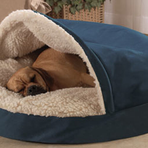 Qué tipo de cama es mejor su perro? | Wikia pedia | Fandom