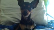 Picture001
