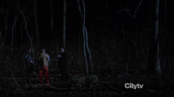 2x22 - Woods