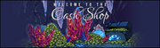 Cashshop 01.png