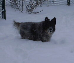NIKI GOOD OUTSIDE smaller.jpg