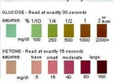 Urine testing stix