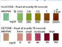 Urine for sugar test