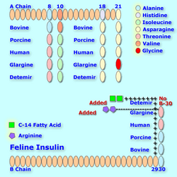 Felineinsulin analog