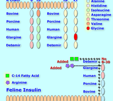 Lantus insulin for cats discount