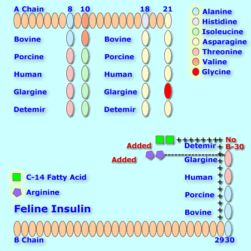 analog insulin types