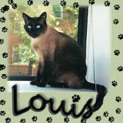 Louis fenetre2.jpg