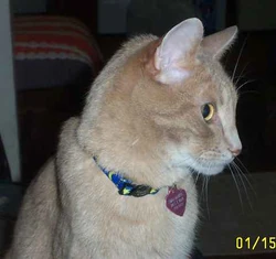 Simon in profile, from Sally.  Click for a bigger pic.