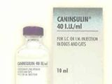 Caninsulin