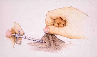 Giving dog insulin shot 2025