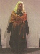 Dianne Smith Laketown Costume