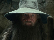 Ian McKellen as Gandalf**