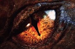 Smaug eye