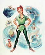 Walt Disney's Peter Pan Motion Picture Movie Film Poster