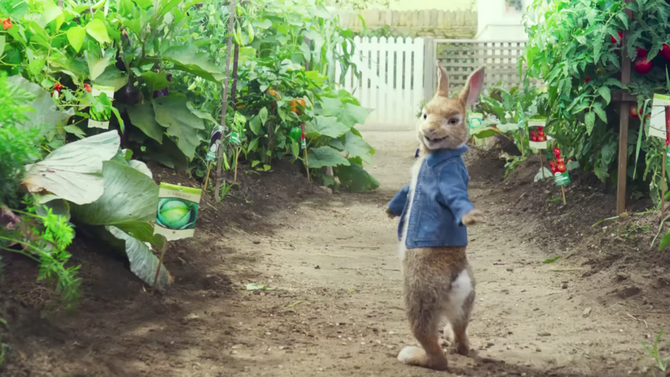 Peter Rabbit the Movie