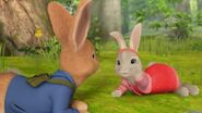 Peter and Lily's Gallery | Peter Rabbit (TV series) Wiki | Fandom