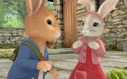 Peter and Lily's Gallery | Peter Rabbit (TV series) Wiki | Fandom