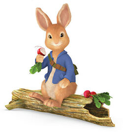 Peter Rabbit Figurines (2 Pack)- Peter/c 