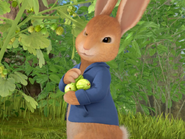 PETER-RABBIT