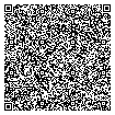 QR Code 13