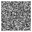 QR Code 11