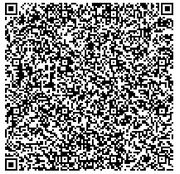 Tiny dot editor qrs